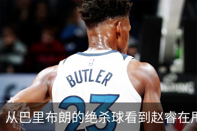 从巴里布朗的绝杀球看到赵睿在甩锅，中国篮球能好吗？