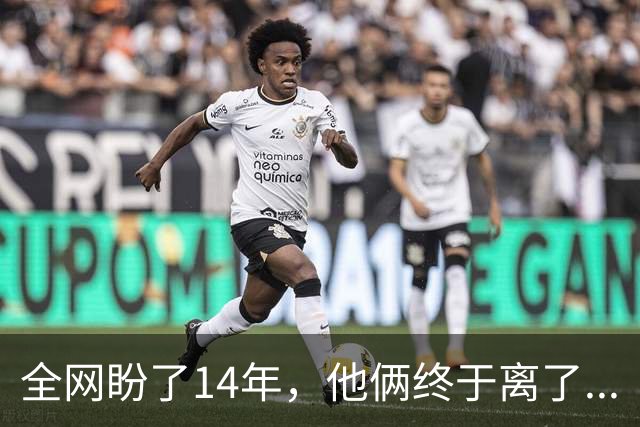 全网盼了14年，他俩终于离了...