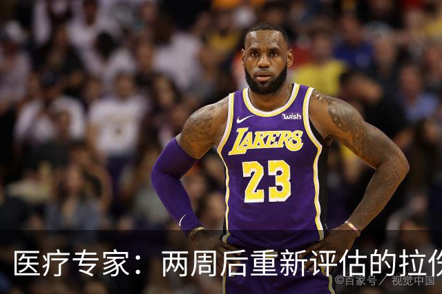 医疗专家：两周后重新评估的拉伤平均伤缺时间2.3周 为7.9场比赛