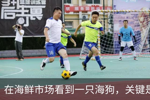 在海鲜市场看到一只海狗，关键是还只要600，网友当场走不动道了：这只新鲜，给我包起来！