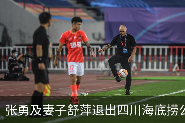 张勇及妻子舒萍退出四川海底捞公司董事会，控制权未变