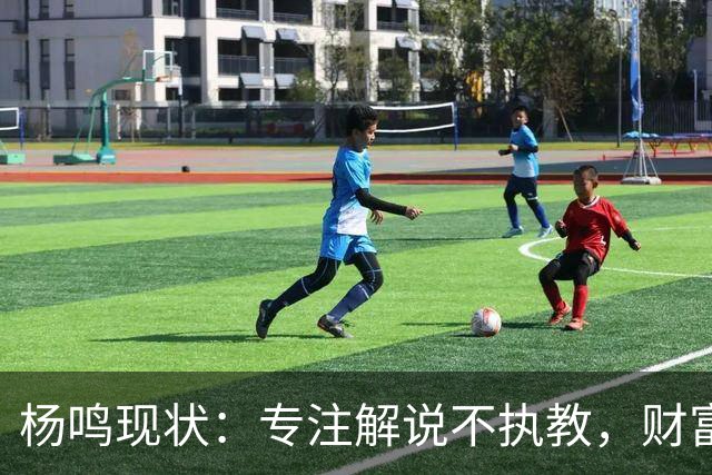 杨鸣现状：专注解说不执教，财富自由四处潇洒，儿子继承天赋颜值