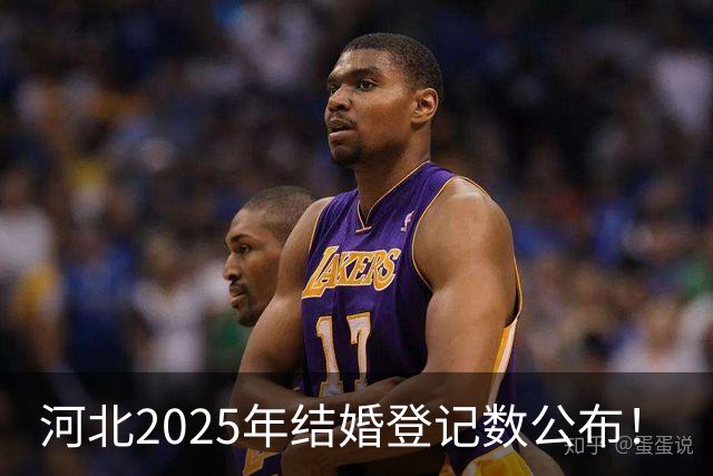 河北2025年结婚登记数公布！
