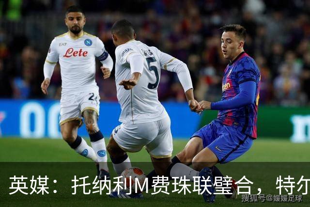 英媒：托纳利M费珠联璧合，特尔等热刺青年才俊展现强大潜力