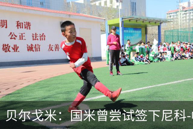 贝尔戈米：国米曾尝试签下尼科-帕斯；前场需要特点不同的球员