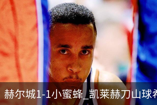 赫尔城1-1小蜜蜂 凯莱赫刀山球希基送点 麦克伯尼点射瓦塔拉扳平
