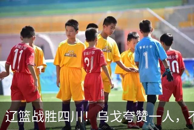 辽篮战胜四川！乌戈夸赞一人，不是爱德华兹，不是克里斯和李虎翼