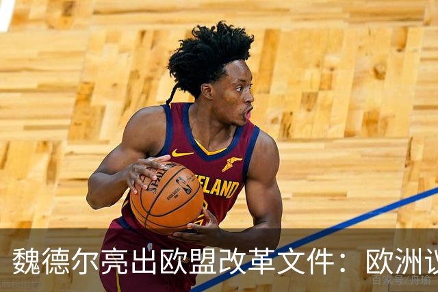 魏德尔亮出欧盟改革文件：欧洲议员不再直选，改由各国议会指派